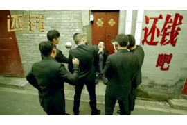 溧水企业清欠服务